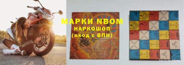 индика Алзамай