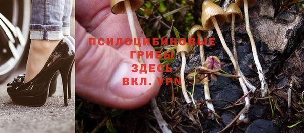 гидропоника Абдулино
