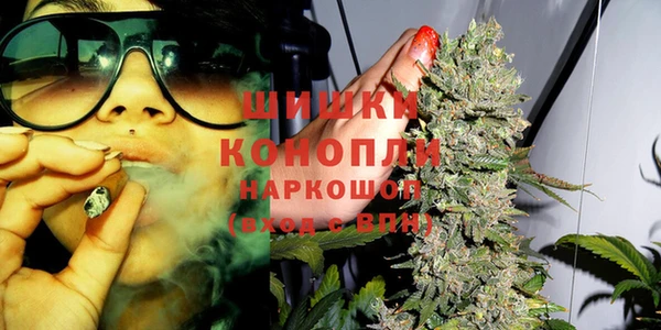spice Абинск