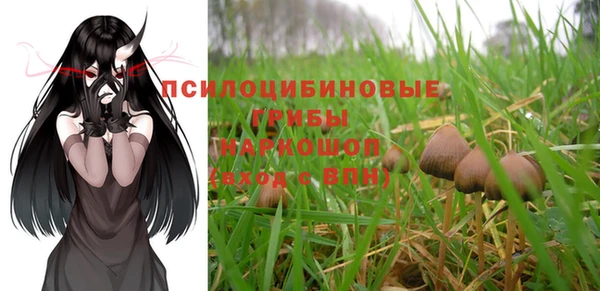гидропоника Абдулино