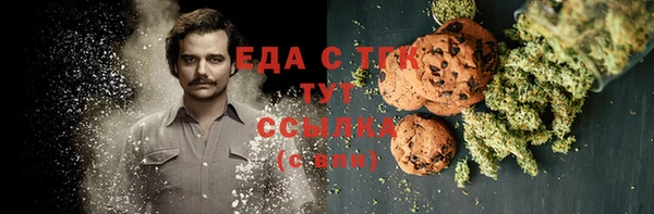 индика Алзамай