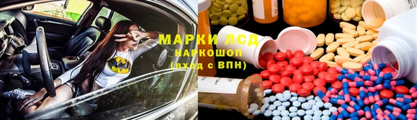 индика Алзамай