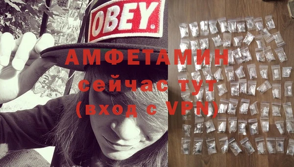 индика Алзамай