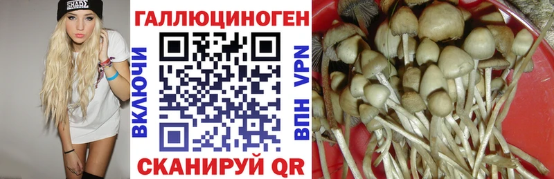 купить   Новоульяновск  гидра ССЫЛКА  Псилоцибиновые грибы Psilocybe 